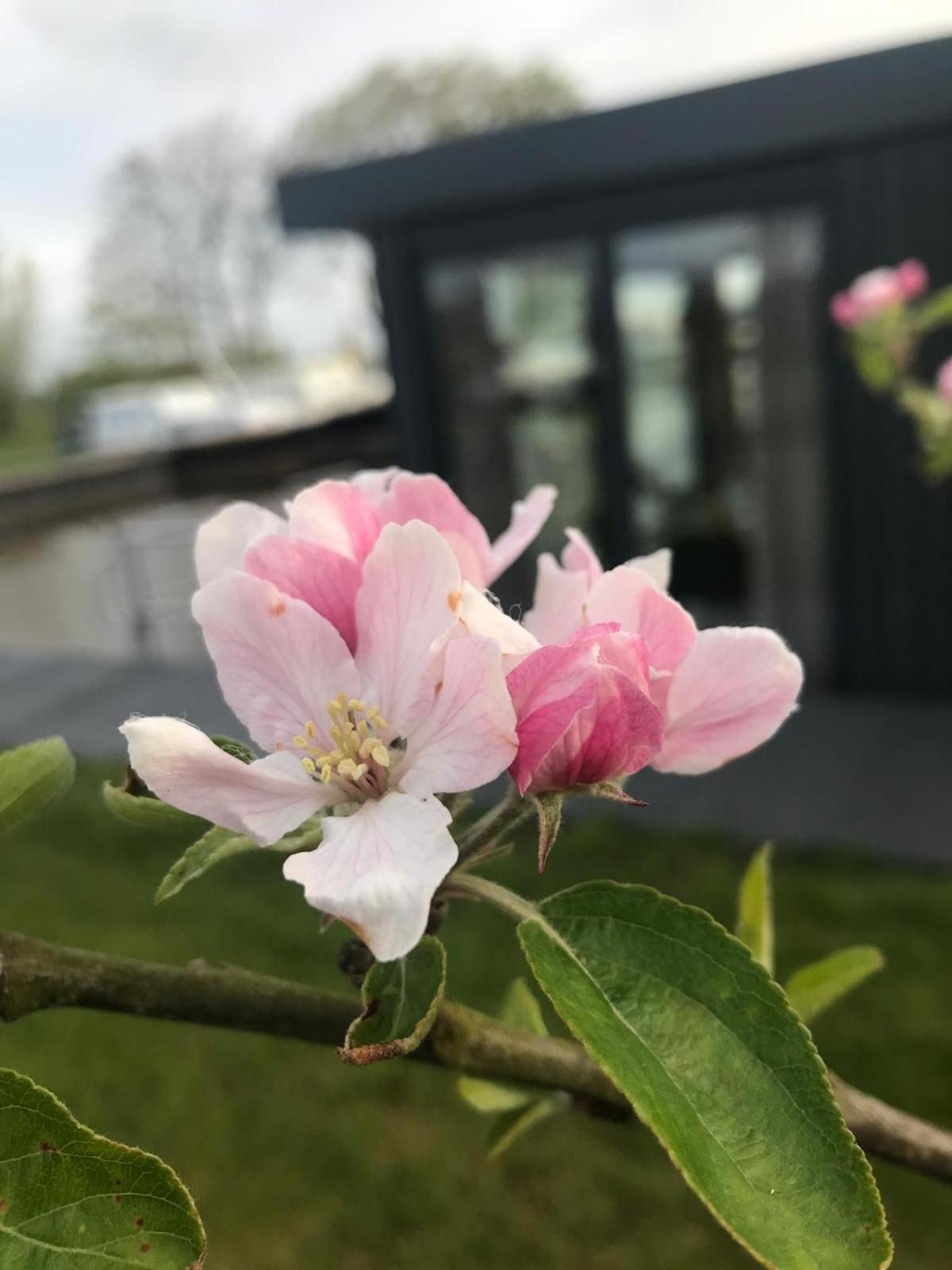 Uniek Overnachten In Een Tiny House Op De Appelhof Wommels 外观 照片