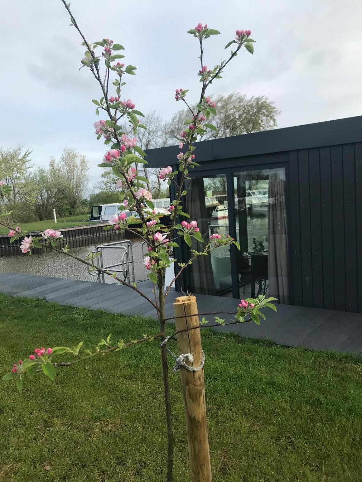 Uniek Overnachten In Een Tiny House Op De Appelhof Wommels 外观 照片